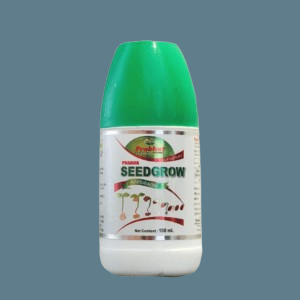 Sugar Packing Machine Manufacturer India