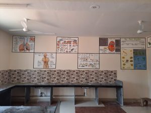 4c051567-4f2d-4dd2-9f8c-372f276e41a8