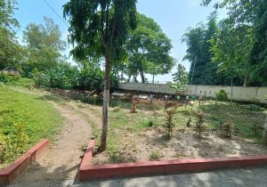 Gram Vikash Vidya Vihar (school )Gayaganda (9)