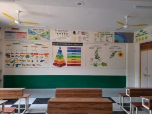 ce5067fb-d5d8-4447-9f55-68ae5e2a5908