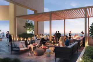Party Lawn