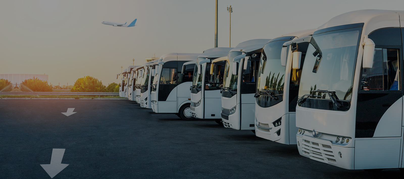 International Air freight